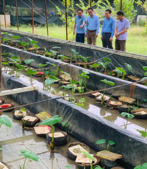 Đồng chí Võ Văn Phong- Phó Chủ tịch Hội Nông dân Tỉnh Nghệ An thăm mô hình nuôi lươn không bùn của Hội viên Trần Duy Sơn- Tân Thành, Yên Thành